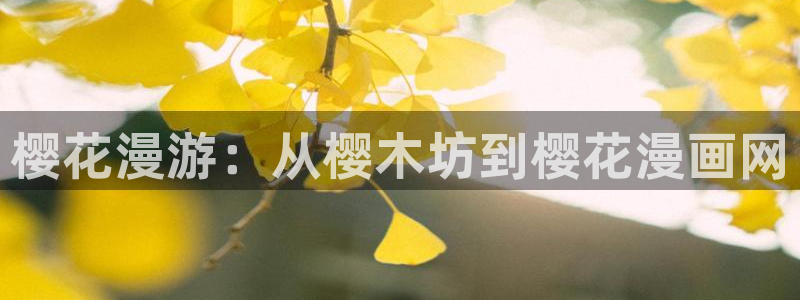 韩漫漫画双男主：樱花漫游：从樱木坊到樱花漫画网